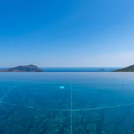 Elit 1 Kas-kalkan *